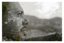 Laboratorio fotografía Foto 16