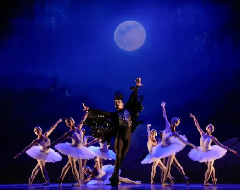 imagenes aliados (2) ballet-metropolitano-2