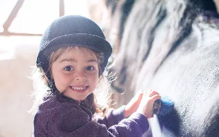 imagenes aliados (2) centro-ecuestre-san-jorge-categoria