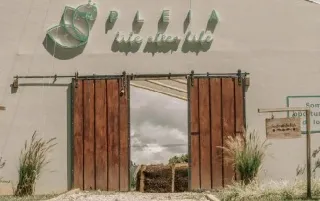 imagenes aliados (1) Pleia-categoria