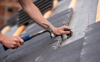 imagenes aliados El-rodeo-categoria