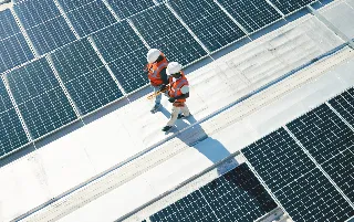 imagenes aliados (1) mundo-sos-categoria