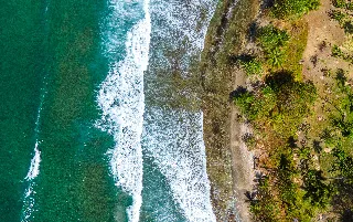 imagenes aliados (1) ecoviajes-darien-categoria