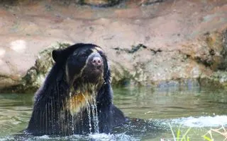 parque-de-la-conservacion-categoria