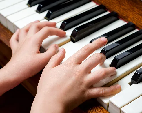 imagenes aliados texturas-armonias-2