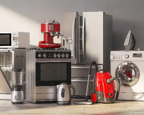 imagenes aliados flamingo-1