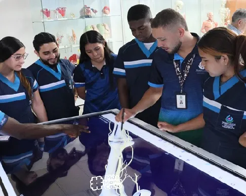 aliados maria-cano-1