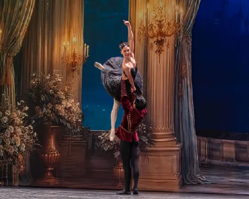 imagenes aliados (2) ballet-metropolitano-1