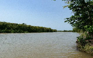 imagenes aliados (1) big-new-yotk-categoria