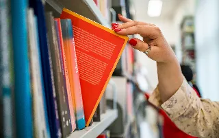 imagenes aliados (2) el-acontista