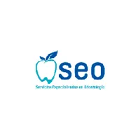 Sitio web SEO