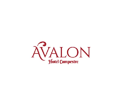 imagenes aliados (1) logo-avalon