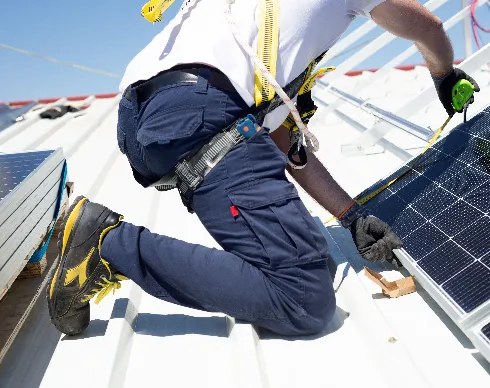 imagenes aliados (1) mundo-sos-2