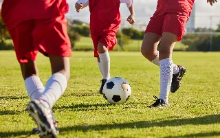 imagenes aliados (1) arteikos-categoria