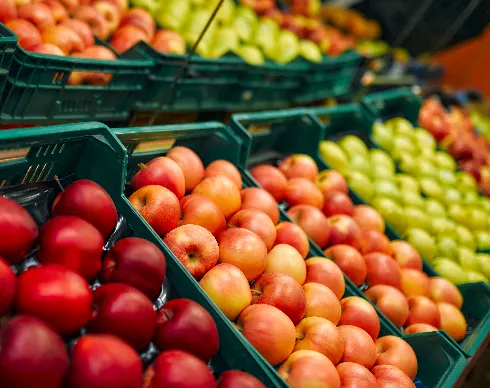 imagenes aliados (1) maxifruver-2