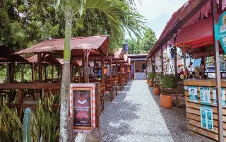 imagenes aliados (1) Pikeo-categoria