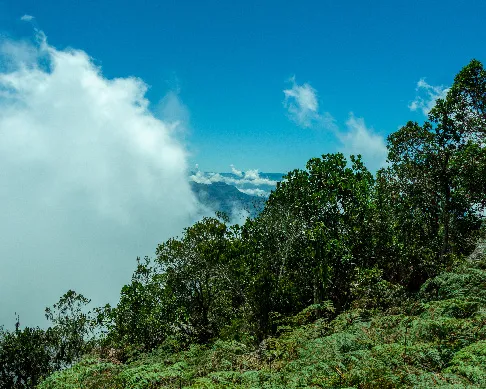 imagenes aliados (1) ecoland-1