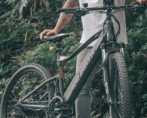 imagenes aliados (1) andantte-1