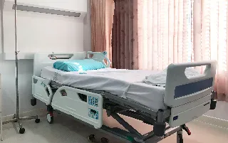 Aliado los-pinos-categoria