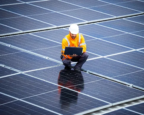 imagenes aliados (1) mundo-sos-1