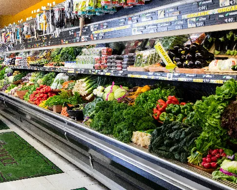 imagenes aliados zayco-1