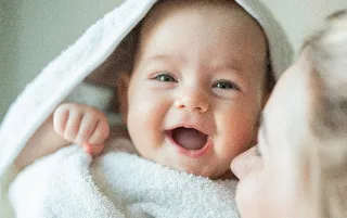 imagenes aliados toral-categoria