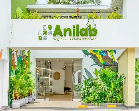 imagenes aliados (1) anilab-1