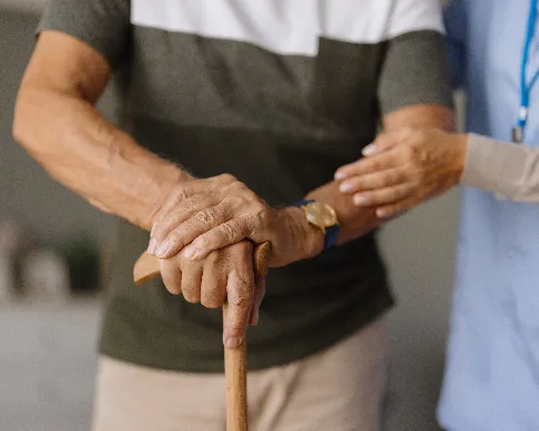 imagenes aliados Sumel-1