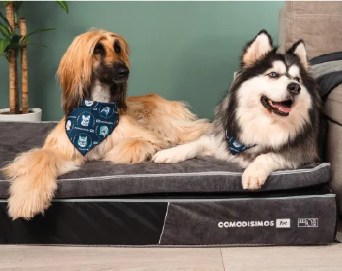 colchones-comodisimos-2-100