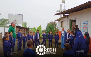 aliados cinde-categoria