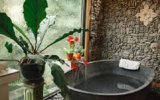 imagenes aliados (1) Candilejas-categoria