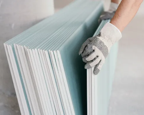 imagenes aliados El-rodeo-1