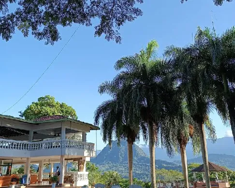 imagenes aliados (1) Real-dinastia-1