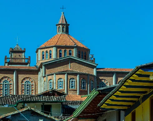 imagenes aliados (1) ecoland-2