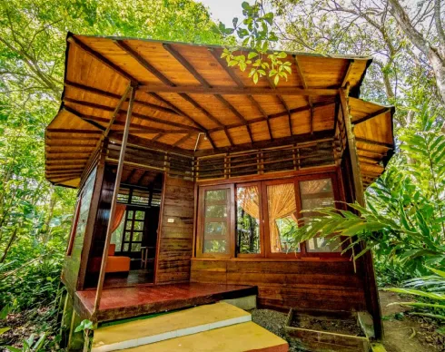 imagenes aliados (1) simona-del-mar-2