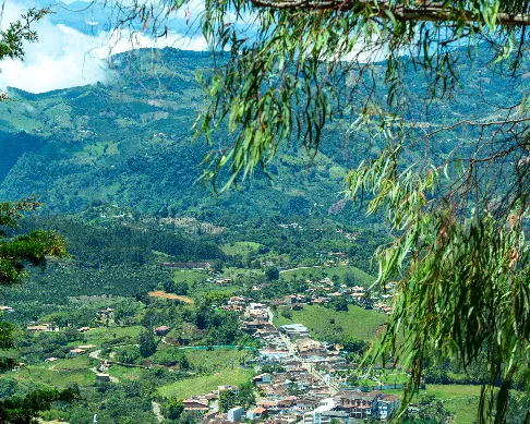 imagenes aliados (1) Bomarzo-1