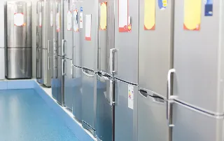 imagenes aliados flamingo-categoria