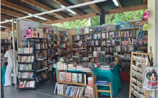 el-arte-de-leer-categoria