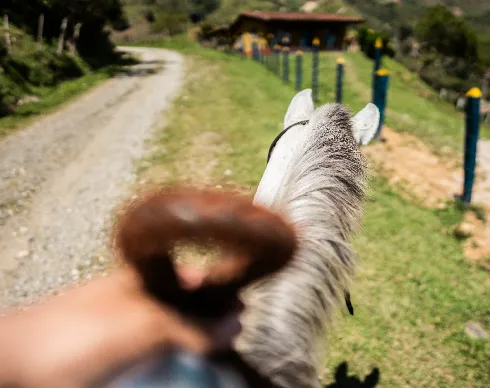 imagenes aliados (1) Candilejas-2