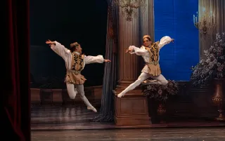 imagenes aliados (2) ballet-metropolitano-categoria