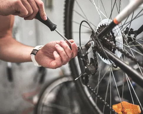 Aliado ciclo-partes-1