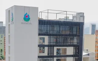 aliados maria-cano-categoria