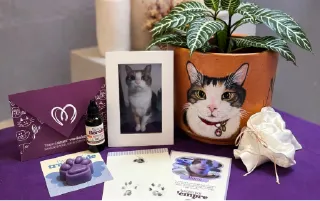 funeral-pet-categoria