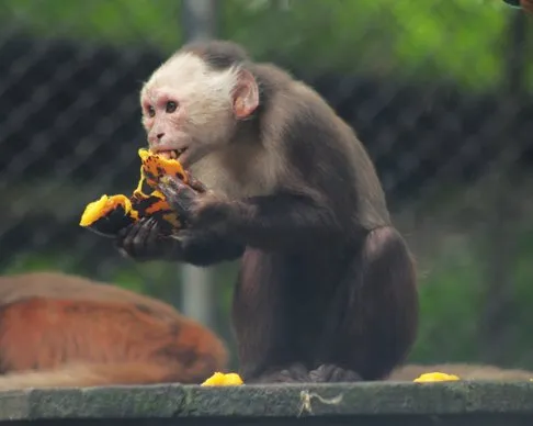 parque-de-la-conservacion-2