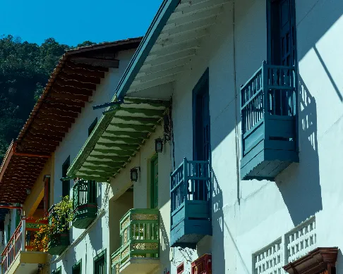 imagenes aliados (1) el-despertar-1