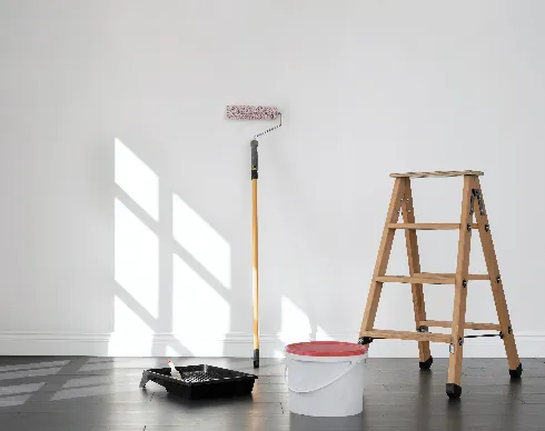 imagenes aliados El-rodeo-2