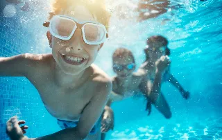 imagenes aliados (1) altos-del-molino-categoria