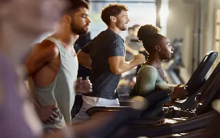 imagenes aliados Max-fit-categoria