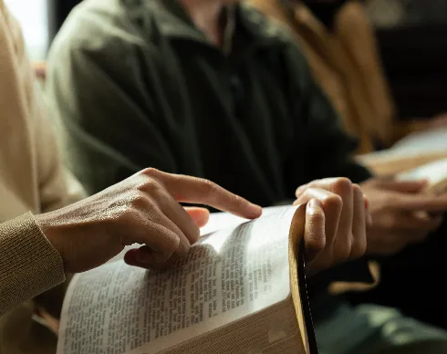 aliados Alexander-von-Humboldt-2