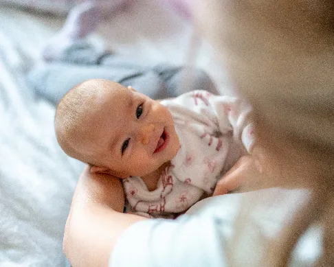 imagenes aliados toral-1